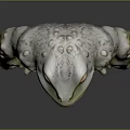 Muscular Frog With Large Yellow Eyes Green And Yellow Body Cartoon 3D Model Standing Pose
