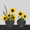 Black Vases with Sunflowers and Dried Grass on Gray Countertop White Wall