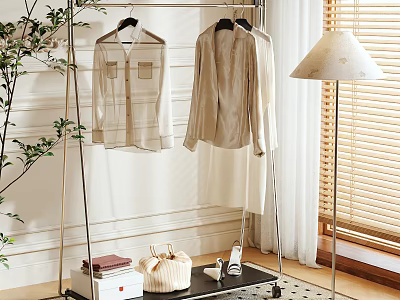 Modern Metal Clothes Rack With Hanging Shirts Floor Lamp And Plant In Bright Room 3d model