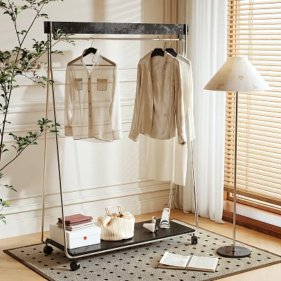 Modern Metal Clothes Rack With Hanging Shirts Floor Lamp And Plant In Bright Room 3d model