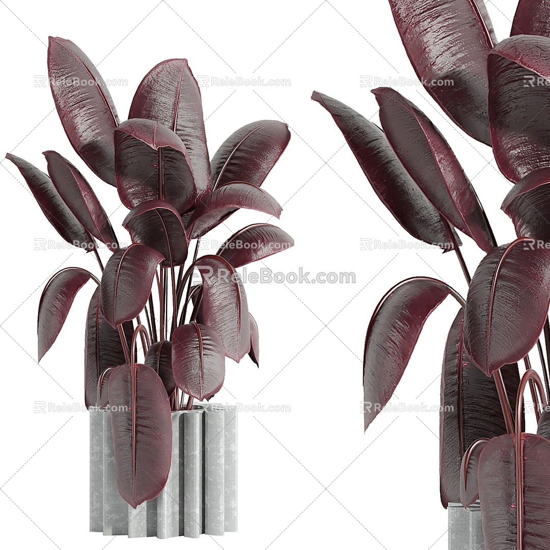 Indoor plants 3d model