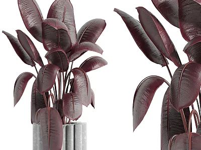 Bonsai Potted Plant with Deep Red Leaves in Gray Columnar Pot Design 3d model