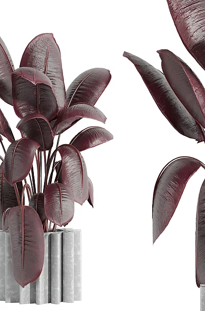 Bonsai Potted Plant with Deep Red Leaves in Gray Columnar Pot Design 3d model