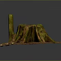 Tree Stump with Green Moss Surrounded by Dirt and Twigs Detailed Natural Forest Floor