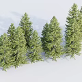 Group of Lush Green Trees Standing on White Background with Soft Shadows