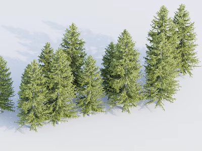 Group of Lush Green Trees Standing on White Background with Soft Shadows 3d model