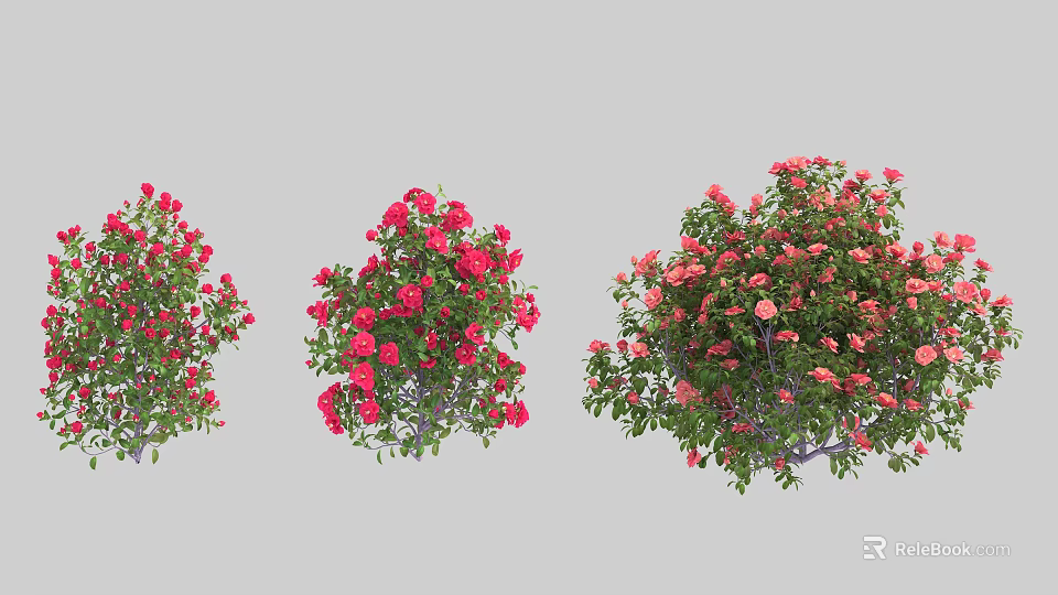 Colorful Flowering Shrubs With Red Pink Blooms And Lush Green Leaves 3d model 