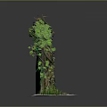 Lush Green Plants Surrounding Black Archway With Fresh Leaves And White Base