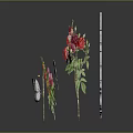 Colorful Roses Arrangement With Pink Red Blooms Butterfly Red Berries And Green Leaves