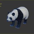 Cute Giant Panda With Black And White Fur Standing On Gray Reflective Background