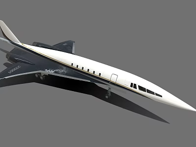 Modern Streamlined Private Jet With White And Dark Exterior Design 3d model