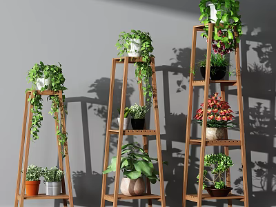 Wooden Plant Stands With Hanging Vines And Potted Green Plants For Indoor Garden 3d model