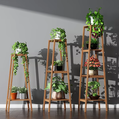 Wooden Plant Stands With Hanging Vines And Potted Green Plants For Indoor Garden 3d model