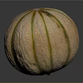 Fresh Ripe Cantaloupe Melon With Yellow Green Stripes And Smooth Surface On Dark Background