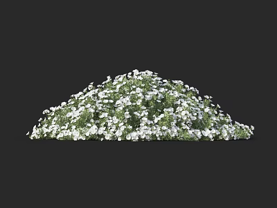 Beautiful Lush Green Shrub Covered With Tiny White Blooming Flowers 3d model