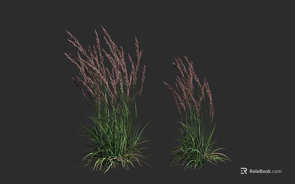 Green Leafy Shrubs With Purple Flower Spikes In Dark Background 3d model 