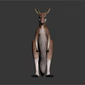 Realistic Reddish Orange And White Kangaroo Standing On Gray Gradient Background 3d model