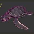 Turtle Cartoon Turtle Snapping Turtle Chickbill Turtle Reptile Cold Blooded Animal Reptile Class 3d model