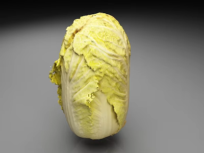 Fresh Chinese Cabbage With Green Yellow Leaves And Healthy Vegetable Look 3d model