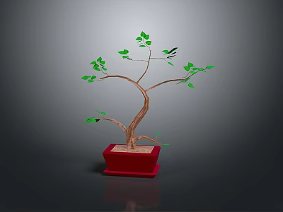 Decorative Potted Plant with Curved Trunk Green Leaves in Red Pot 3d model