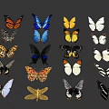 Colorful Butterflies and Dragonfly with Various Patterns and Colors Displayed on Gray Background