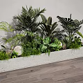 Lush Tropical Plant Combination With Diverse Green Foliage In Concrete Planter