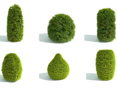Various Shaped Green Garden Shrubs In Round Conical And Columnar Forms 3d model