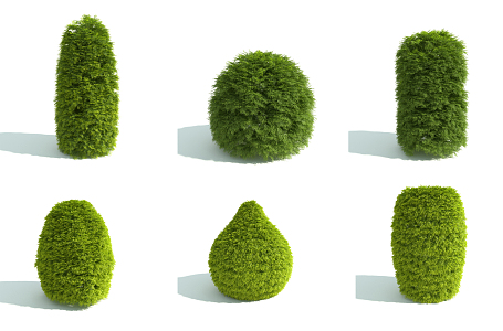 Modern shrubs 3d model