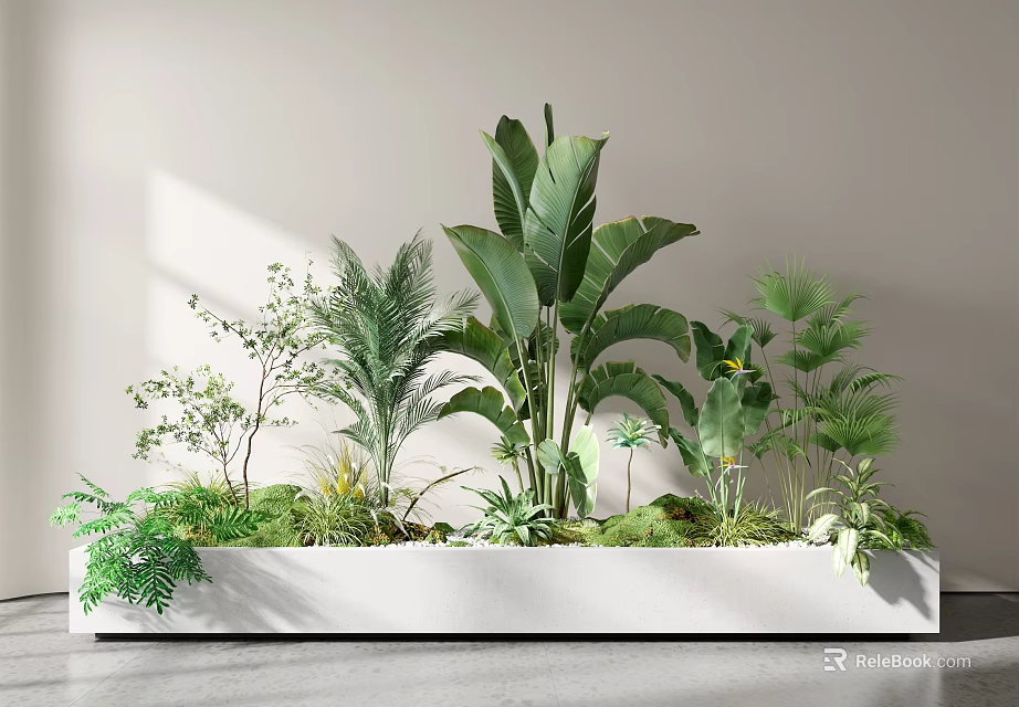 Bonsai Potted Plants In White Rectangular Container With Various Green Plants And Foliage 3d model