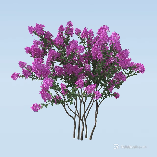 Blooming Arbor With Purple Flowers And Green Leaves On Light Blue Background 3d model 