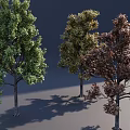 Three Arbor Trees Featuring Different Leaf Colors Green Yellow and Brown 3d model