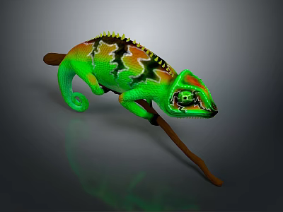 Vibrant Scaled Reptile Colorful Chameleon With Curled Tail On Tree Branch 3d model