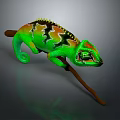 Lizard Anime Lizard Chameleon Cartoon Lizard Reptile Cold Blooded Animal Reptile Class 3d model