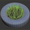 Green Grass Growing Lush Inside a Blue Recycled Tire Planter Container