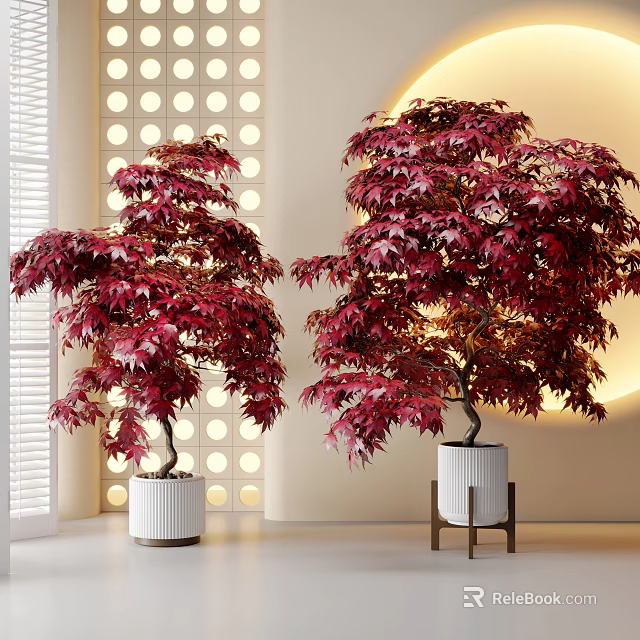 Red Leaf Bonsai Plants in White Planters with Metal Stand and Decorative Wall 3d model 