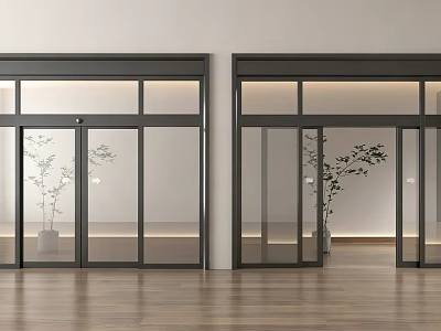 Double Glass Doors With Black Frames In Interior With Green Plants And Wooden Flooring 3d model