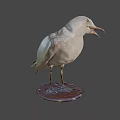 Seagull Taxidermy Mount On Wooden Base With Dark Background
