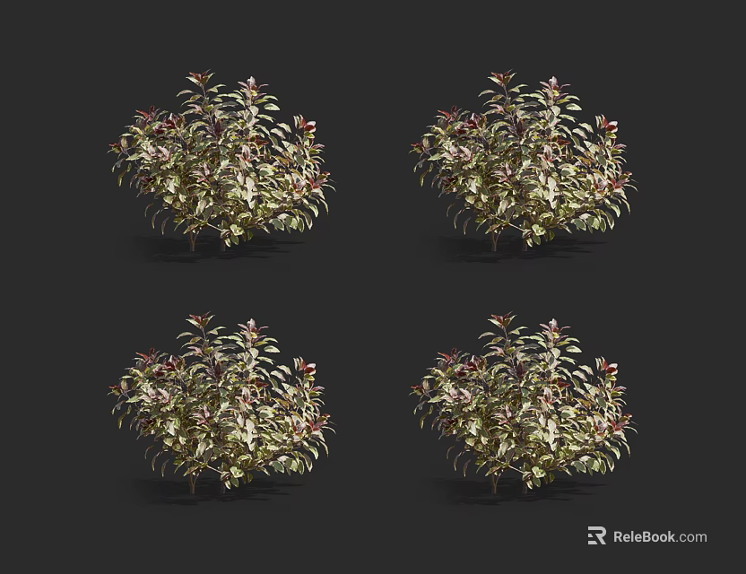 Four Potted Plants With Green And Red Leaves On Black Background 3d model 