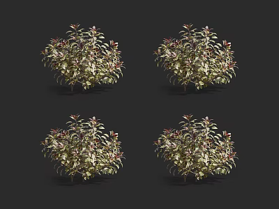 Four Potted Plants With Green And Red Leaves On Black Background 3d model