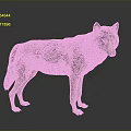 Gray Black Wolf Standing With Alert Posture On Dark 3D Rendered Background