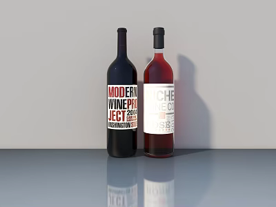 Two Modern Wine Project And Vinoche Wine Bottles On Gray Reflective Table 3d model