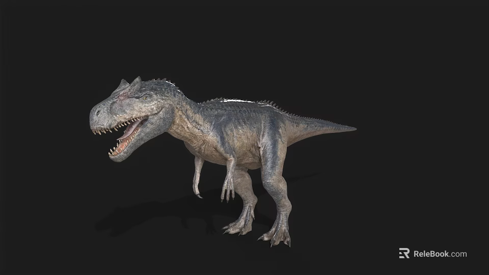 Realistic 3D T Rex Dinosaur Model With Open Mouth Sharp Teeth On Black Background 3d model