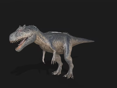 Realistic 3D T Rex Dinosaur Model With Open Mouth Sharp Teeth On Black Background 3d model