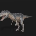 Realistic 3D T Rex Dinosaur Model With Open Mouth Sharp Teeth On Black Background 3d model