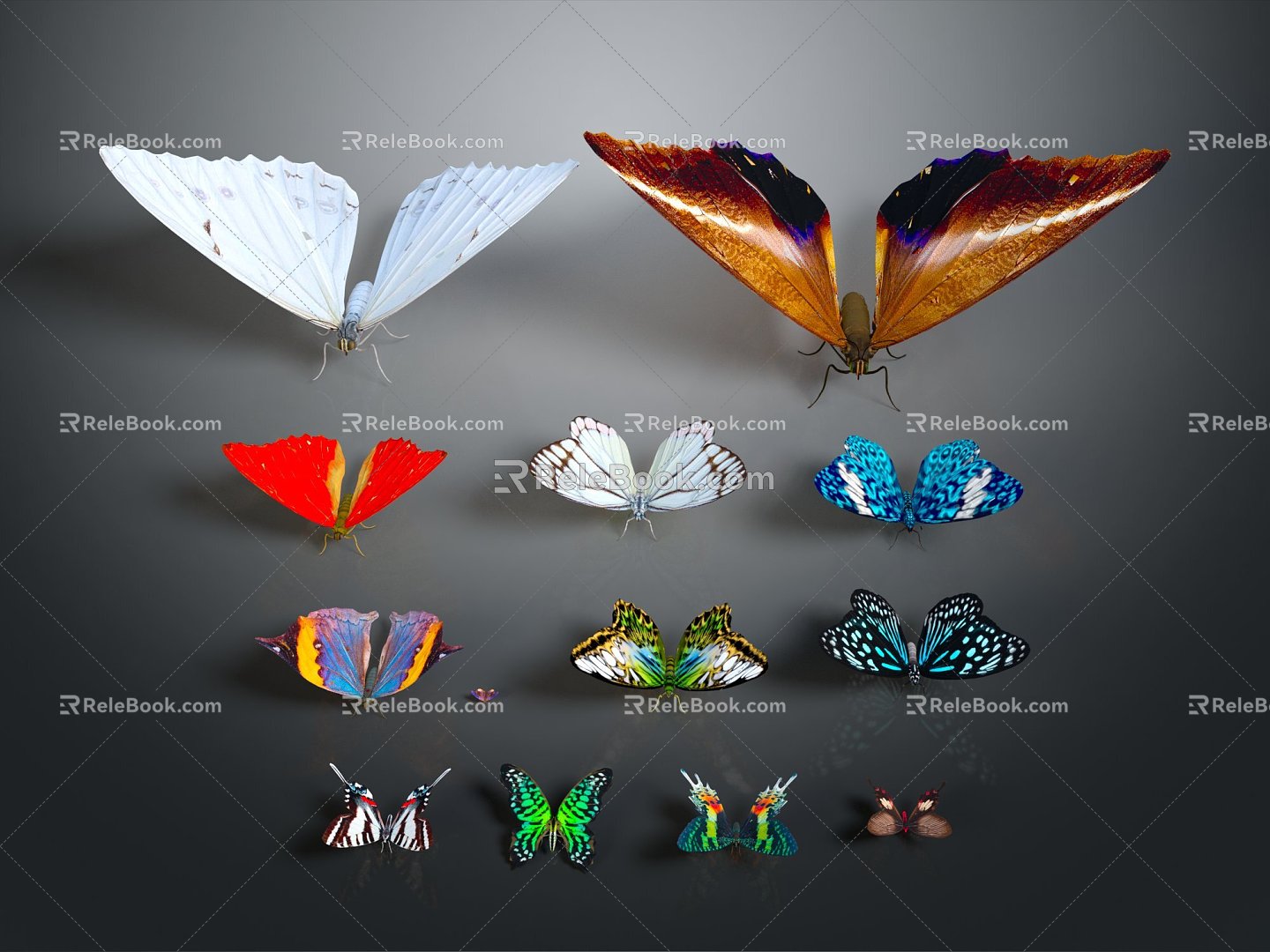 Modern Butterfly Various Butterfly Butterfly Set Colored Butterfly 3d model