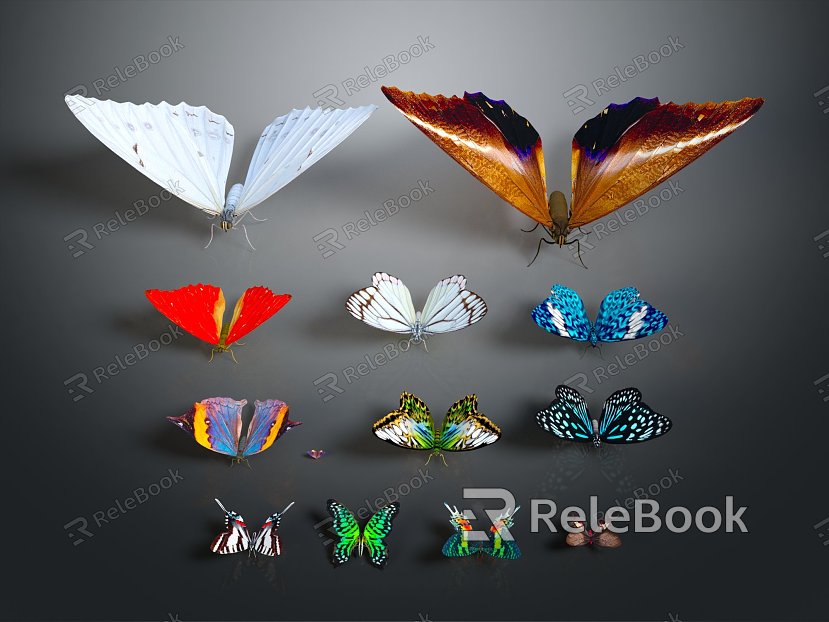 Modern Butterfly Various Butterfly Butterfly Set Colored Butterfly model