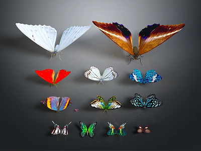 Various Colorful Flying Butterflies With Vibrant Wings And Diverse Patterns 3d model