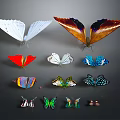 Modern Butterfly Various Butterfly Set Colored Butterfly 3d model
