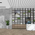 Modern Shop Front Desk With Gray Marble Wall Wooden Bookshelves Green Plants White Marble Countertop