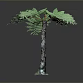 Green Fern Plant Featuring Feathery Leaves Textured Trunk And Decorative Base On Grey Background